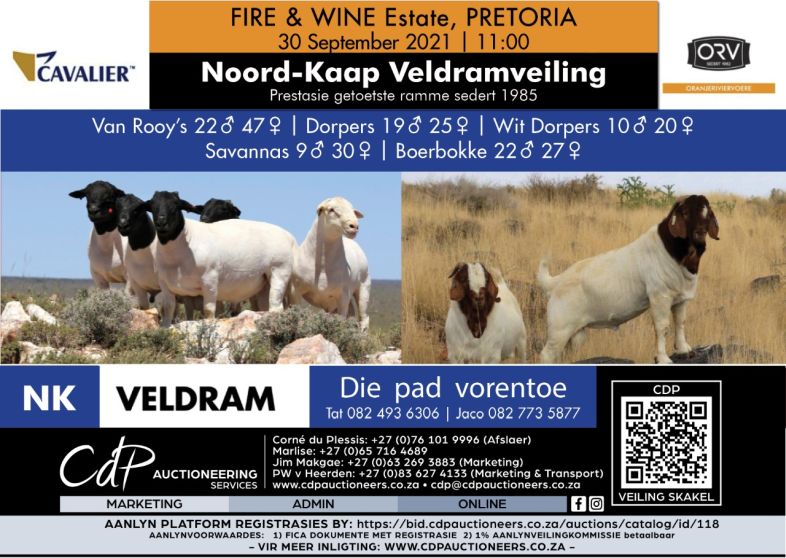 PRETORIA Veldramveiling 2021